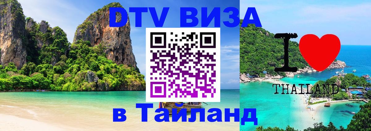 Оформление DTV визы под ключ: стоимость и тарифы, только загранпаспорт - Тирана  07.01.2026 
